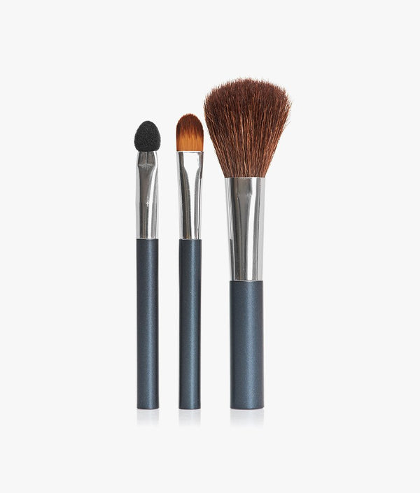 Mini Brush Kit